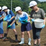 国史跡でコスモスの種まき　足利の大月小児童