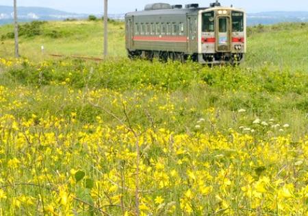 　大自然の中を走るＪＲ釧網線の列車（黄８線区の一つ）