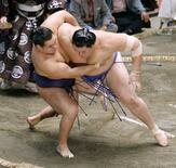 １６年ぶり横綱決戦制す