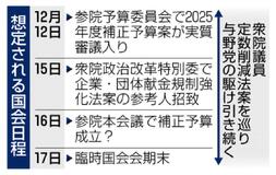 衆院の定数削減 今国会成立困難