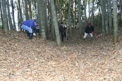 児山城跡竹林 散策ルートに