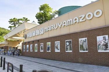 札幌、円山動物園にヒグマの足跡