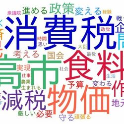 【衆院選】栃木県内小選挙区、候補者の第一声をAIで分析「ワードクラウド」に