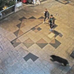 宇都宮市出没のクマの動きを解析　スピード、体高、移動距離は…　現場取材や映像などから