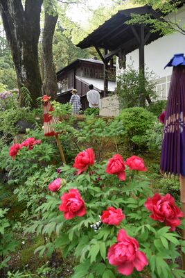 金谷ホテル歴史館を華やかに彩るボタン