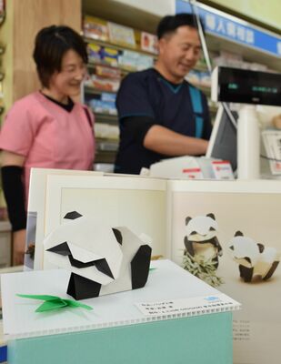 商店に飾られた折り紙作品「パンダと笹」