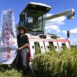 「ふゆみずたんぼ米」稲刈り本格化　21、22日に道の駅で販売　小山