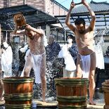 過酷な100日間の修行終えて帰山　さくら・妙福寺の野澤副住職　水行１日…