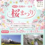 真岡の一万本桜まつり 7カ所でスタート 5日にかけて見頃迎える予想 ラ…