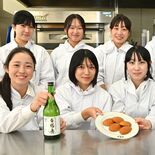 酒粕と米粉を使ったマドレーヌ　宇都宮白楊高生が商品化　17日に宇都宮で…