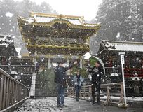 日光二社一寺も雪化粧