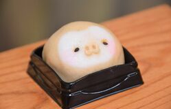 ナマケモノそっくり？　なかがわ水遊園で記念まんじゅう販売