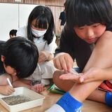 ５ミリ以下のプラはどこ？　大田原薄葉小５年生、ごみ分別の大切さ学ぶ　県が出前環境授業