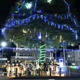 15メートルのツリーきらきら　JR矢板駅前でイルミネーション