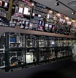 クラゲ水族館、新たな一歩