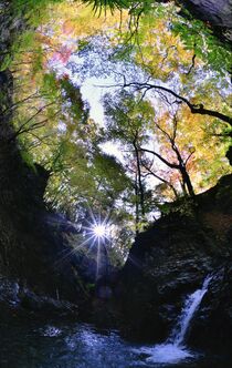 第12回下野新聞紙上写真コンテスト