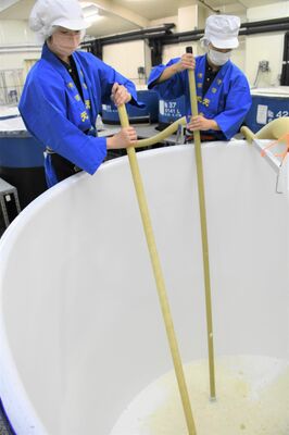 天鷹酒造で本格化した新酒の仕込み作業