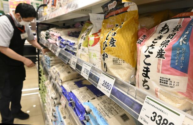 スーパーの売り場に並ぶコメ。米価は高止まりが続く＝21日午後１時45分、宇都宮市鶴田町
