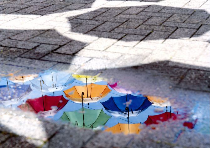 銅賞 「梅雨のわすれもの」 北山建穂(日光市)