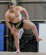 綱とり安青錦に注目