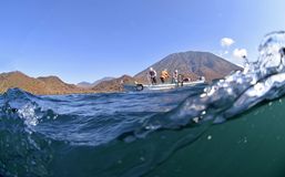 [４]海水魚と条件違う淡水魚