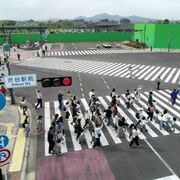 足利の「スクランブル交差点」12月で見納め 11月に最後の一般公開 跡地は市役所な…