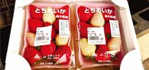 旬を迎えた５種類のイチゴを販売JAかみつが 日光森友直売所スマイル館