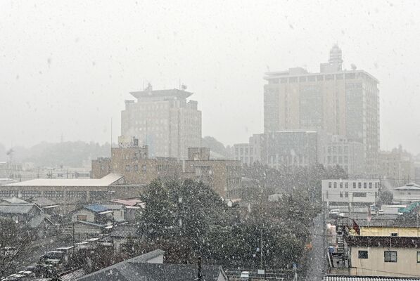 雪が降りしきる宇都宮市内