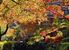 最終盤を迎えた満願寺周辺の紅葉＝22日午前10時30分、栃木市出流町
