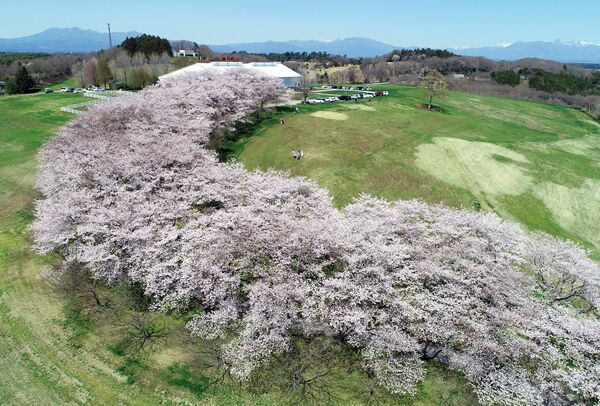 那須ファームビレッジ(大田原)