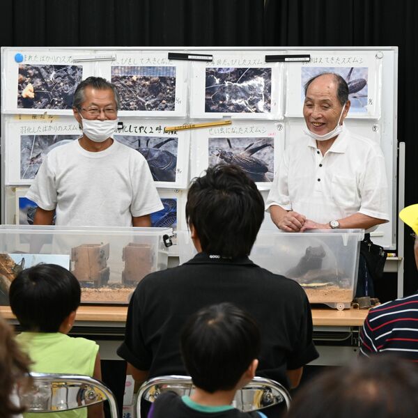 スズムシ育てて60年「生きる力をもらった」 栃木の小倉さん、無料配布