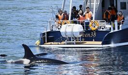 忠告届かず、対策不備も