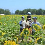 ヒマワリも笑顔も満開　野木でフェスティバル