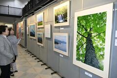 国内外で撮った美しい風景展示