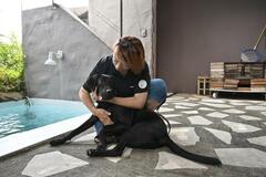 障害者に犬の癒やし