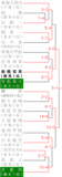 16春　関東トーナメント表