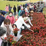 「記念の花」配布に長蛇の列　国体ロイヤルボックス装飾に使用【動画】