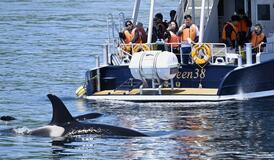 忠告届かず、対策不備も