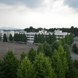 作新ボクシング部で不適切指導　元プロコーチ解任、関係者から「体罰」批判　