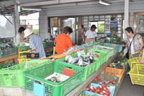 大沢農産物直売所　ＪＡかみつが　新鮮さ、地域の絆を大切に