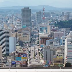 宇都宮市にディズニーキャラクターがやってくる！　11月に大通りをパレード　栃木県で初めて