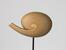 　タピオ・ヴィルカラの木製オブジェ「シェル（巻貝）」（１９５６年　Ｔａｐｉｏ　Ｗｉｒｋｋａｌａ　Ｒｕｔ　Ｂｒｙｋ　Ｆｏｕｎｄａｔｉｏｎ　Ｃｏｌｌｅｃｔｉｏｎ／ＥＭＭＡ―Ｅｓｐｏｏ　Ｍｕｓｅｕｍ　ｏｆ　Ｍｏｄｅｒｎ　Ａｒｔ．（Ｃ）Ａｒｉ　Ｋａｒｔｔｕｎｅｎ／ＥＭＭＡ　（Ｃ）ＫＵＶＡＳＴＯ，Ｈｅｌｓｉｎｋｉ＆ＪＡＳＰＡＲ，Ｔｏｋｙｏ，２０２４　Ｃ４７８０）（提供写真）　