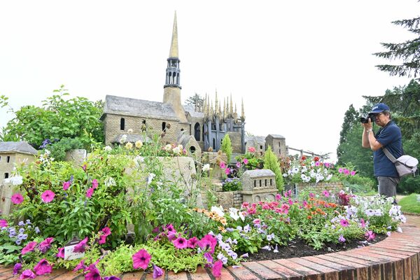 モンサンミッシェルをイメージした特別植栽の展示