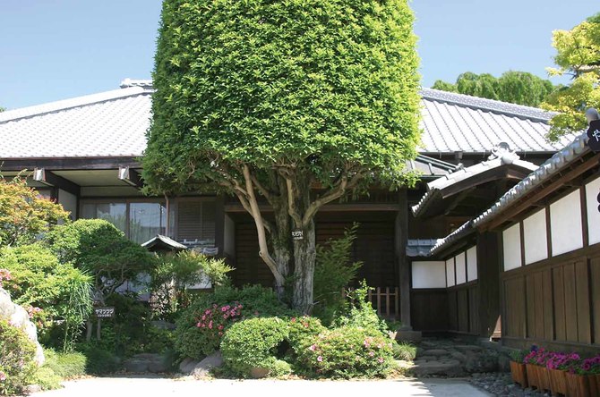 矢板市本町15-3　☎0287-43-6218（矢板市生涯学習課）