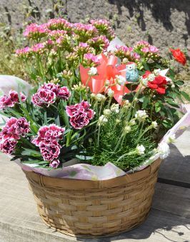 籠植え