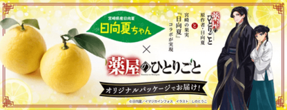 大人気小説「薬屋のひとりごと」コラボパッケージの柑橘「日向夏」を ＪＡタウンで販売中！