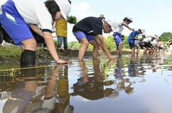 児童、収穫に思いはせ