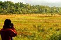 湿原彩る草紅葉　奥日光・小田代原