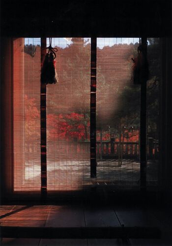 第29回下野新聞紙上写真コンテスト－入賞作品－ 2025年12月｜2025年度