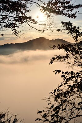 朝日に照らされ輝く雲海＝６日午前６時50分、茂木町九石
